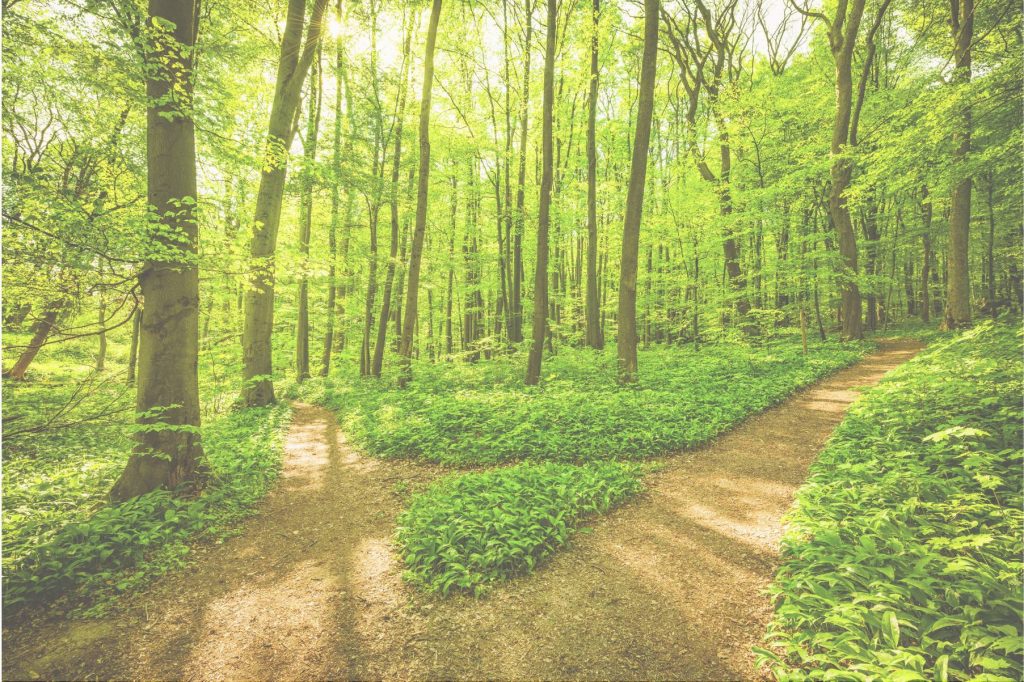 Jannike Stöhr Karrierecoaching